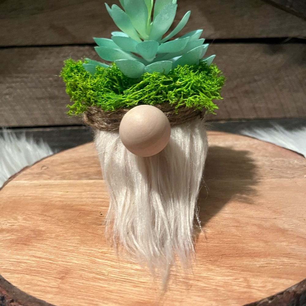 Whimsical Gnome Planter with Faux Succulent